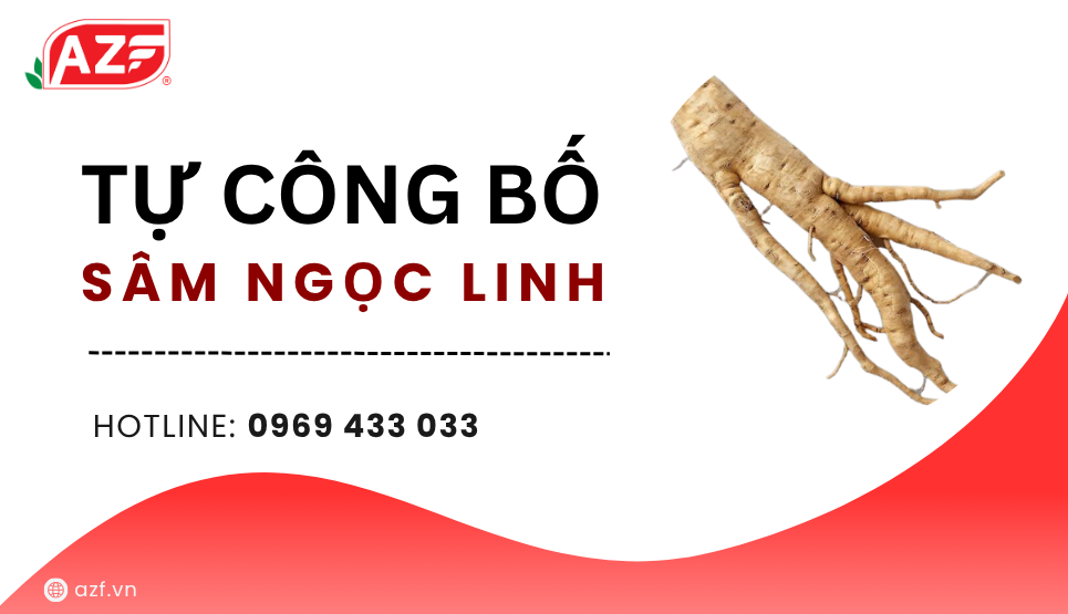 tự công bố sâm Ngọc Linh