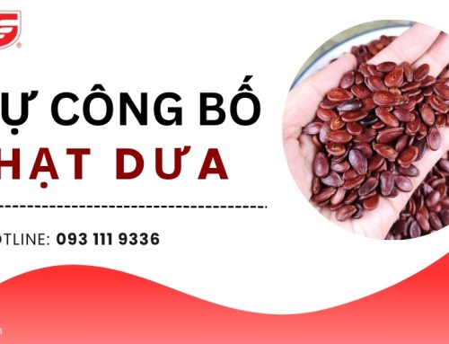 Hướng dẫn tự công bố chất lượng hạt dưa nhanh nhất